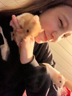 Хомяки. Истории, советы и помощь