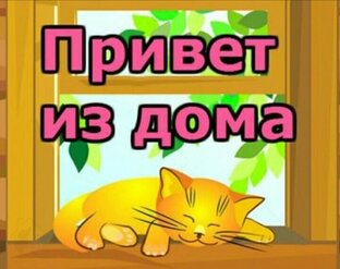 Из грязи в князи