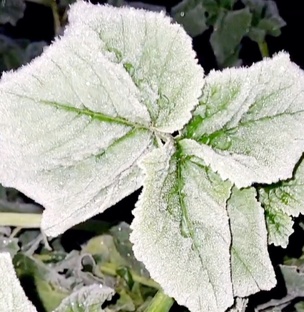 Влоги.Ноябрь 2024.