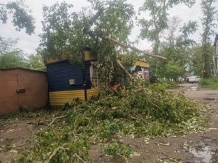 Мои обычные и необычные  дни