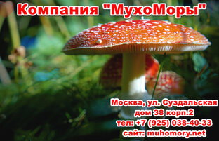 Мухоморы