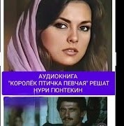 Аудиокнига "КОРОЛЕК-ПТИЧКА ПЕВЧАЯ" Решат Нури Гюнтекин