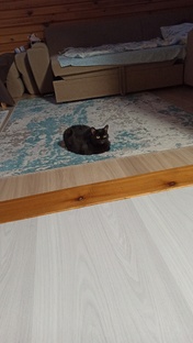 ❤Подарки❤