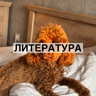 Литература