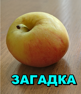 ЗАГАДКИ 👉 с ответами