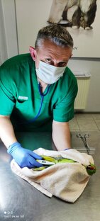 Ветеринарные новости про животных.