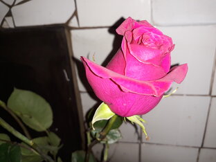 Недлинно о большом.