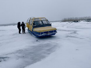 Советы как выжить в Новый год