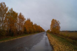 Дороги Омской области