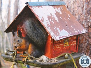 Природа Югорской земли