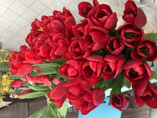 🎉 Праздники 🎊 