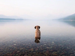 Мысли вслух