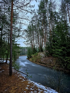Московская область