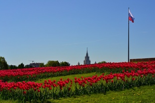 Москва