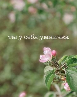 Обо мне