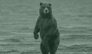 Охота ненцев. Животные