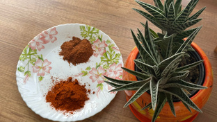 Корейская кухня 