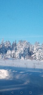 Зимняя красота