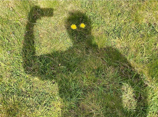 Подборки шуток и мемов на канале.