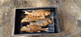 И рыбку съесть