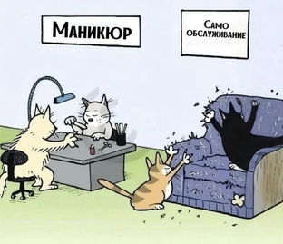 Картинки