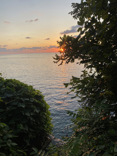 Путешествия