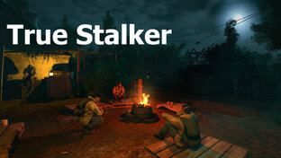 True Stalker  подсказки