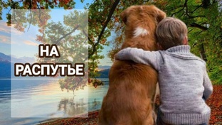 На распутье