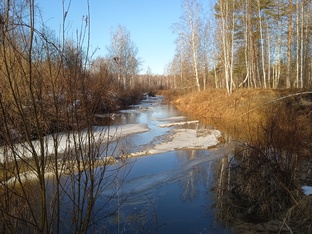 Летняя рыбалка. У нас есть что почитать 