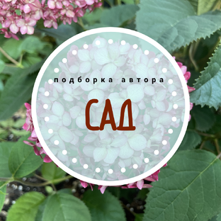 Сад и огород