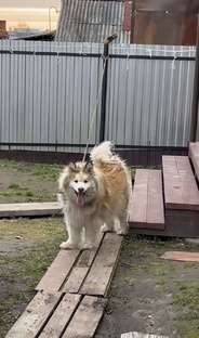 Всем пока, я домой!