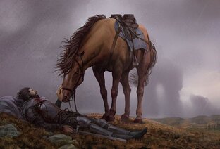 Интересно о лошадках