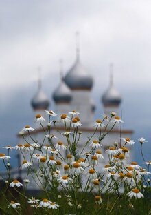 Поздравления с православными праздниками.