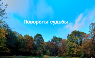 Повороты судьбы