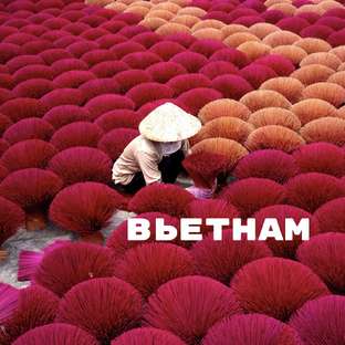 Вьетнам 🇻🇳 