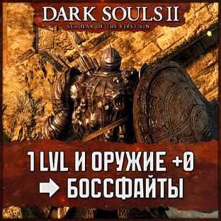 🗡 [SL1+0] Dark Souls 2: SotFS ★ No-Hit и No Damage бои