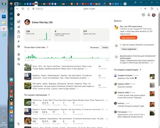 Мой канал на Дзен. Платформа. Елена Мастер Life