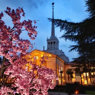 Весенние каникулы в Сочи 🌺