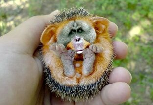 животные из ада