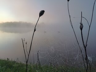 ТриДевятино царство