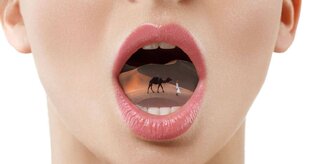 Личный опыт сухого голодания