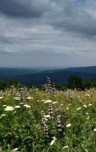 Путешествияпо Раю Земному...