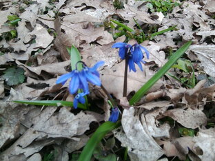 Чуток Юмора и Сатиры. 