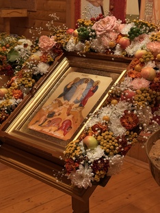 Цветы глаголят 🌸