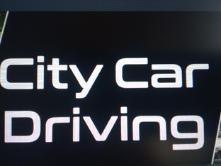 City Car Driving