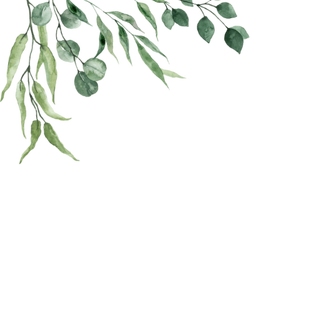 Продажа книг