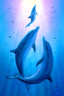 Прионтина. Елена Киндысевич. 8 Видео