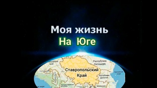 Моя жизнь на юге