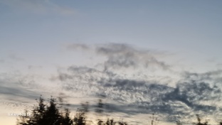 Чудесатая болезнь