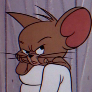 Бебруинов-дизинфа,чат|разбор